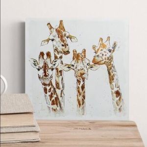 Giraffe photo